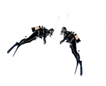 divers divers