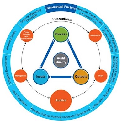 Image Framework for Audit Quality