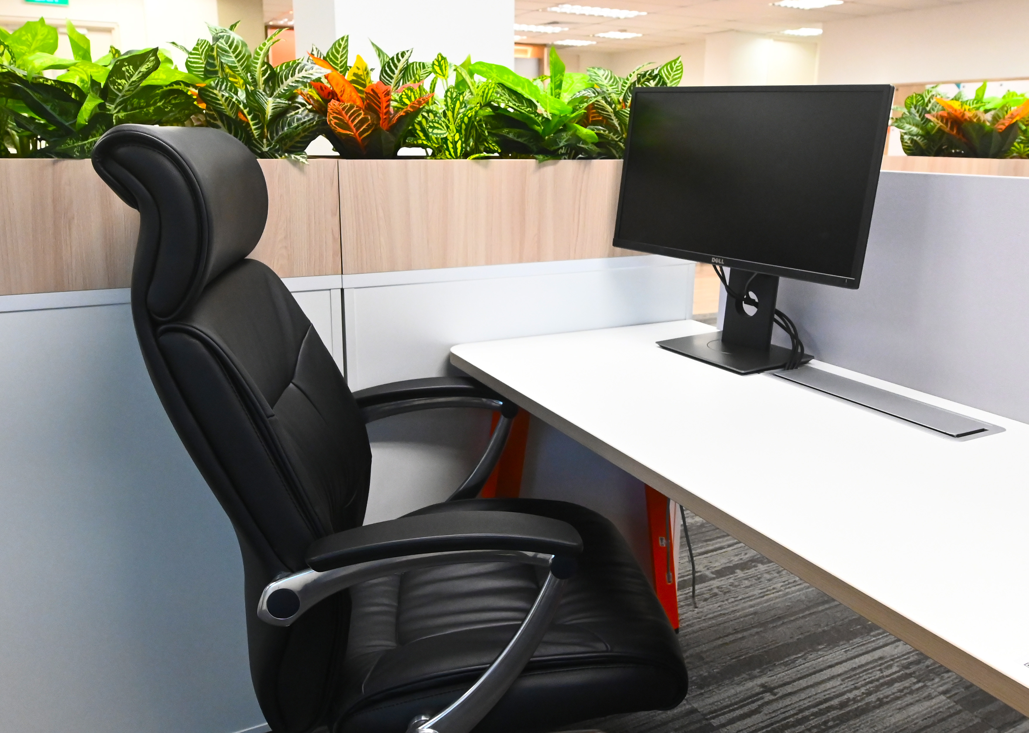 Co-Working Spaces Co-Working Spaces
