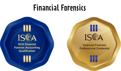 Financial Forensics Financial Forensics