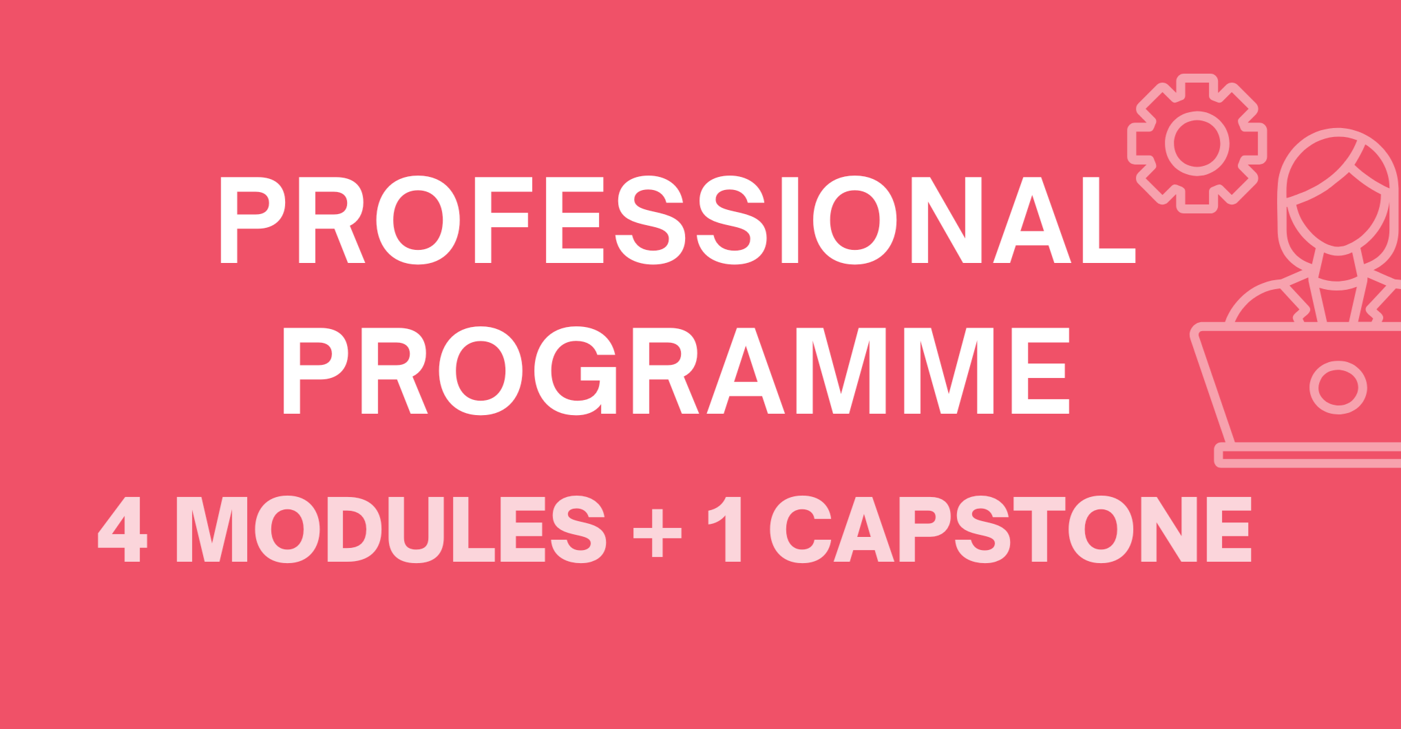 Professional Programme