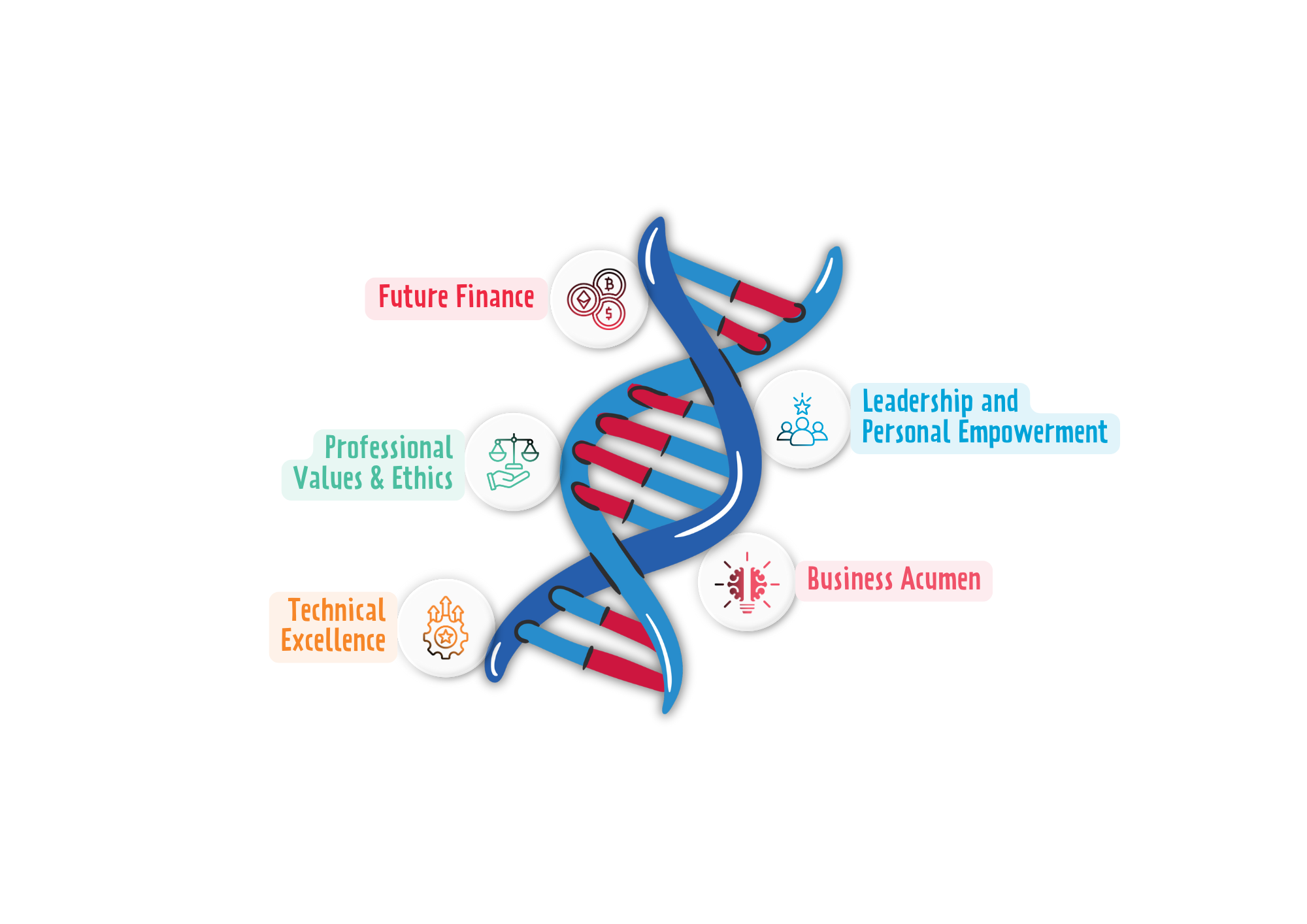 PAIB framework DNA